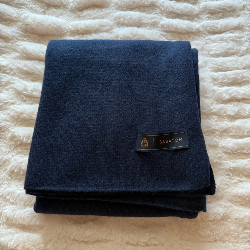 Babaton Cashmere Narrow Blanket Scarf